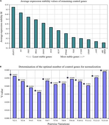 Screening of Reference Genes for RT-qPCR in Chicken Adipose Tissue and Adipocytes